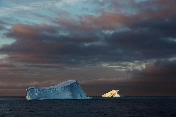 Wall Art - Photograph - Floating Icebergs In Antarctic Sound #1 by Krystle Wright