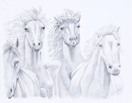 Four For Freedom by Joette Snyder Four For Freedom by Joette Snyder