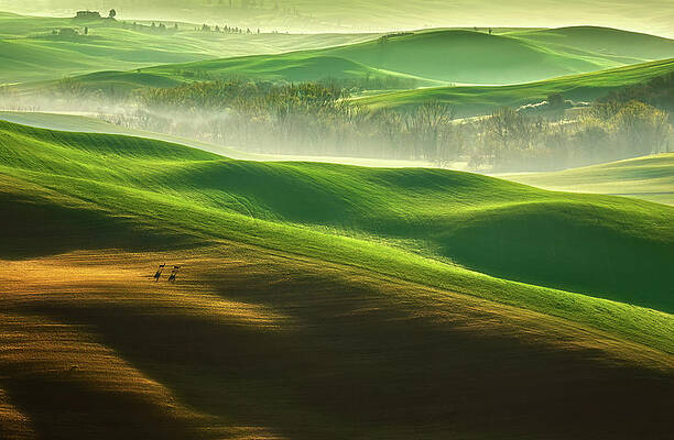 Wall Art - Photograph - Freedom.... #1 by Krzysztof Browko