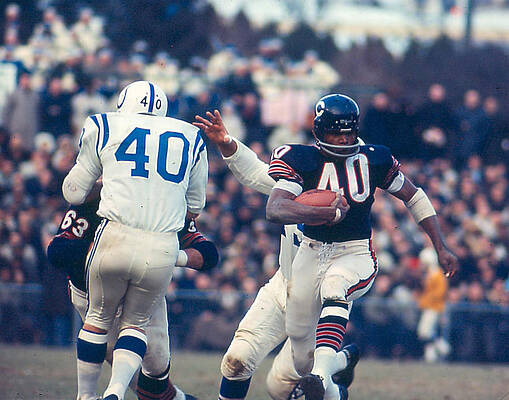Wall Art - Photograph - Gale Sayers #1 by Retro Images Archive