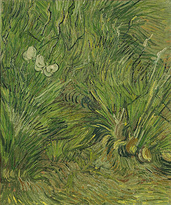 Garden with Butterflies Print by Vincent van Gogh