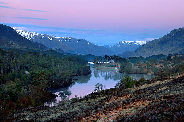 Glen Affric by Gavin Macrae Glen Affric by Gavin Macrae