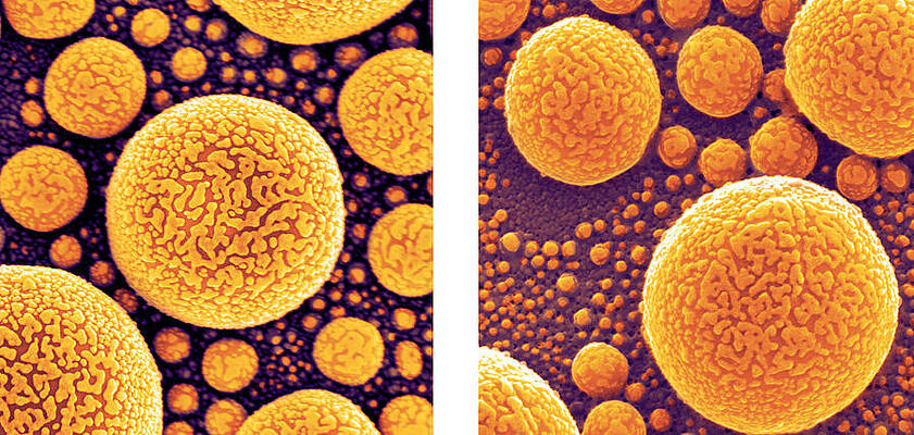 Wall Art - Photograph - Gold Atoms, Sem Vs. Shim #1 by Science Source