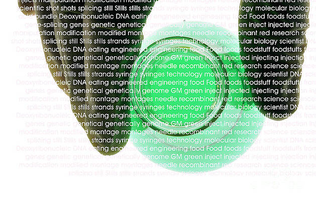 Wall Art - Photograph - Green Science, Conceptual Image #2 by Sigrid Gombert