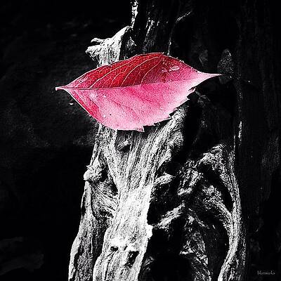 Wall Art - Photograph - Harsh Realities #1 by Matthew Blum