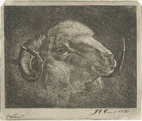 Wall Art - Drawing - Head Of A Ram With Twisted Horns Backward by Artokoloro