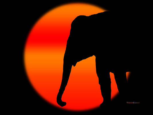 Into The Night- by Robert Orinski Into The Night- by Robert Orinski