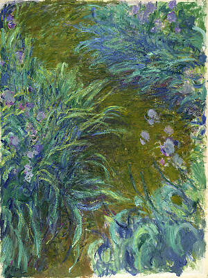 Irises Print by Claude Monet