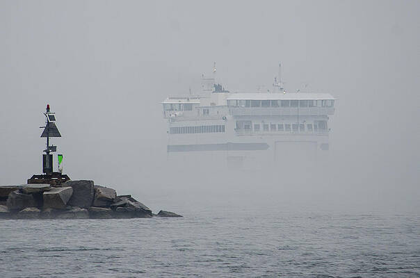 Island Home in Fog by Steve Myrick Island Home in Fog by Steve Myrick