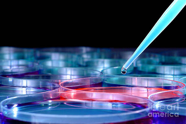Wall Art - Photograph - Laboratory Experiment in Science Research Lab #1 by Science Research Lab