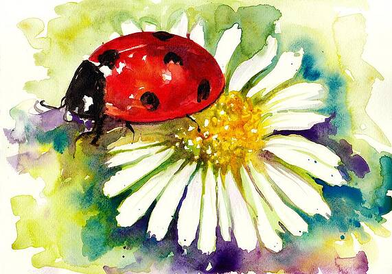 Ladybug in Flowers by Tiberiu Soos Ladybug in Flowers by Tiberiu Soos