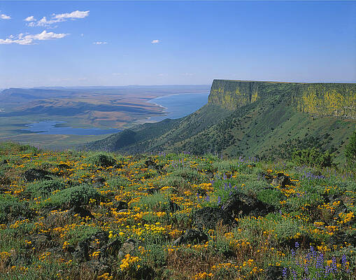 Wall Art - Photograph - 1A5801-Lake Abert and Abert Rim by Ed  Cooper Photography