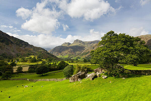 Wall Art - Photograph - Langdale Pikes in Lake District #2 by Steven Heap
