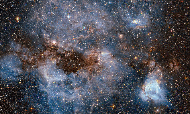 Wall Art - Photograph - Large Magellanic Cloud #1 by Science Source