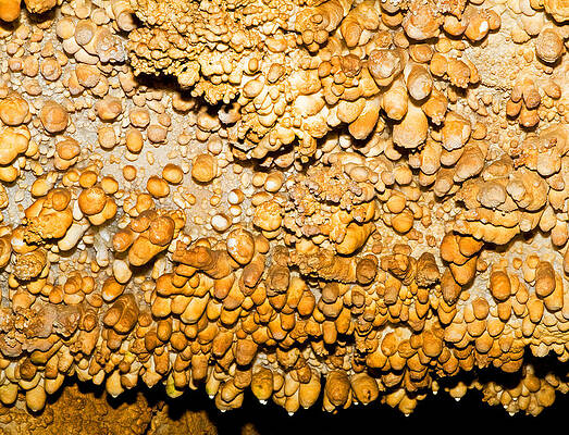 Wall Art - Photograph - Limestone Formation In Carlsbad Caverns #1 by Millard H. Sharp