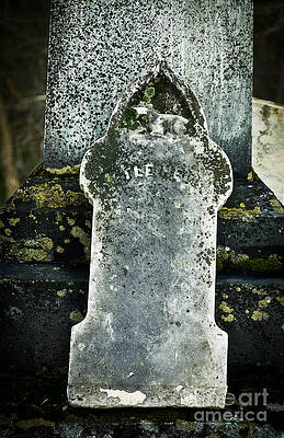 Wall Art - Photograph - Little Nell #1 by Edward Fielding