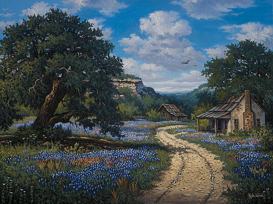 Wall Art - Painting - Lone Star Vision by Kyle Wood