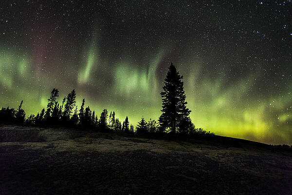 Wall Art - Photograph - MacKenzie Point Aurora 2 by Jakub Sisak