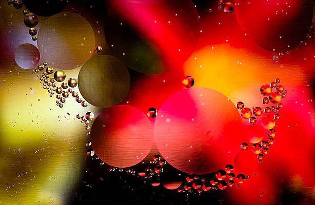 Wall Art - Photograph - Macro shot of abstract oil in water droplets #1 by Steven Heap