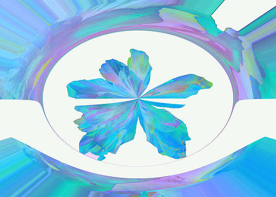 Mexico Hibiscus Series 10 by Jim Baker Mexico Hibiscus Series 10 by Jim Baker