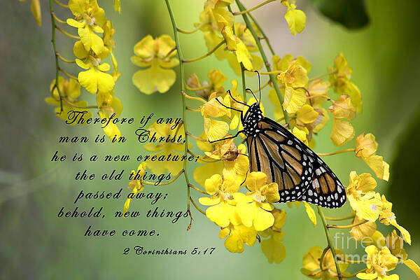 Wall Art - Photograph - Monarch Butterfly with Scripture #1 by Jill Lang