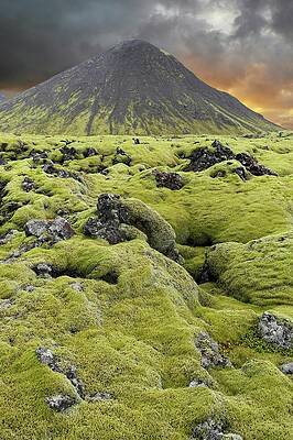 Wall Art - Photograph - Moss-covered Lava Field #1 by Science Photo Library