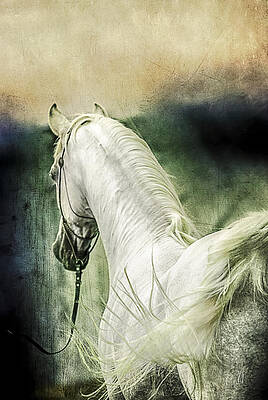 Wall Art - Digital Art - New Year Sharp #1 by Janice OConnor