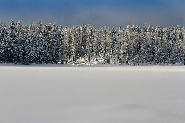 Wall Art - Photograph - Oderteich #1 by Andreas Levi