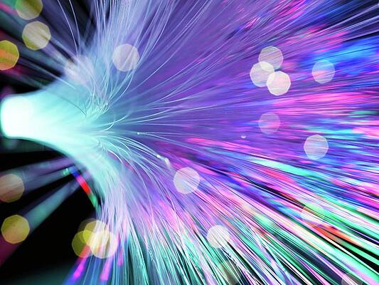 Wall Art - Photograph - Optical Fibres #1 by Science Photo Library