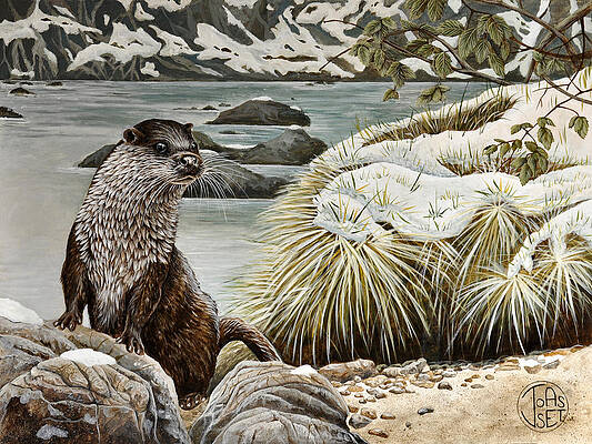 Otter on the alert by Jennifer Joasset