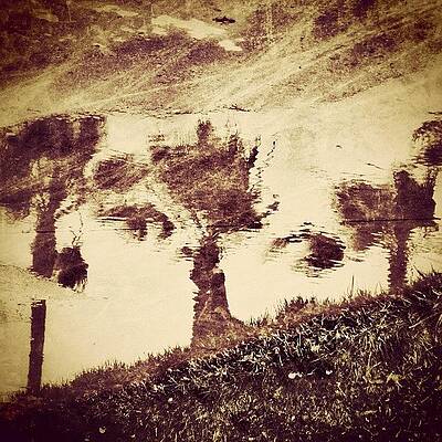 Wall Art - Photograph - Palms Up #1 by Mark David Gerson