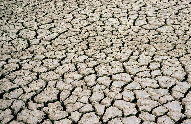 Wall Art - Photograph - Pattern Of Cracks In Dried Mud #1 by Science Photo Library