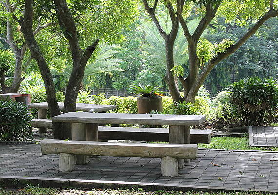 Picnic Table by Lorna Maza Picnic Table by Lorna Maza