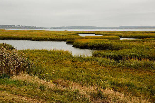 Plum Island Marshes in Autumn 1 by NANCY DE FLON Plum Island Marshes in Autumn 1 by NANCY DE FLON