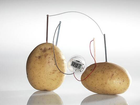 Wall Art - Photograph - Potato Clock #1 by Science Photo Library