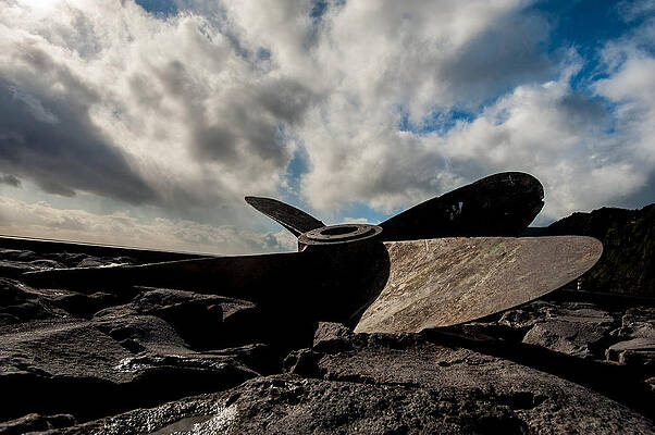 Wall Art - Photograph - Propeller on the beach #1 by Joseph Amaral