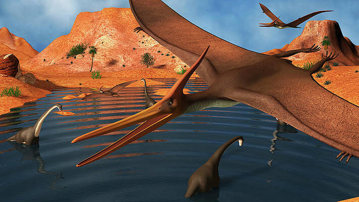 Pteranodon pterosaur pterodactyl artwork pteranodon hi-res stock  photography and images - Alamy