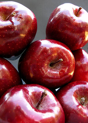 Red Apples by Helene U Taylor Red Apples by Helene U Taylor