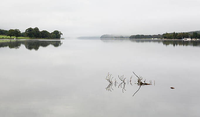 Wall Art - Photograph - Reflection of branch in Coniston Water  #1 by Steven Heap