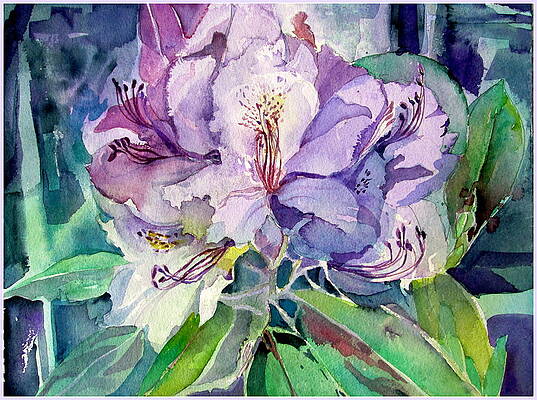 Rhodadendron by Mindy Newman Rhodadendron by Mindy Newman