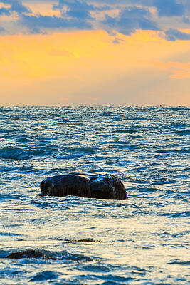 Wall Art - Photograph - Rock #1 by Bryan Bzdula