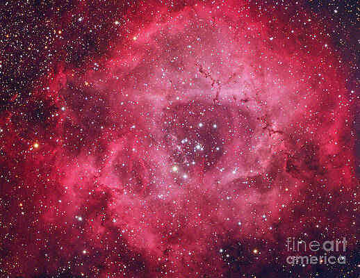Wall Art - Photograph - Rosette Nebula #1 by Chris Cook