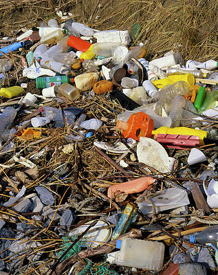 Wall Art - Photograph - Rubbish At The High Tide Mark On The Seashore #1 by Science Photo Library