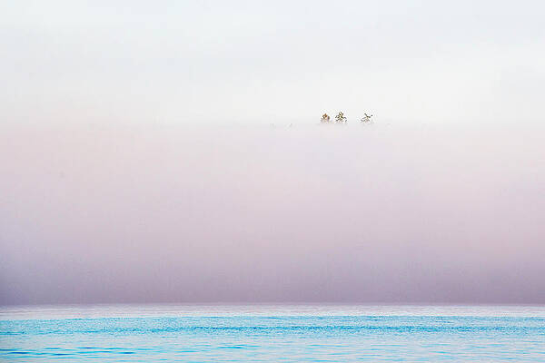 Wall Art - Photograph - Scenery With Fog Over Pachena Bay, West #1 by Dan Rafla