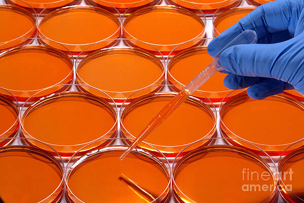 Wall Art - Photograph - Scientific Experiment in Science Research Lab #1 by Science Research Lab