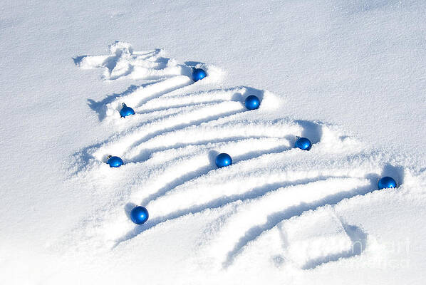 Wall Art - Photograph - Snow Tree by Juli Scalzi