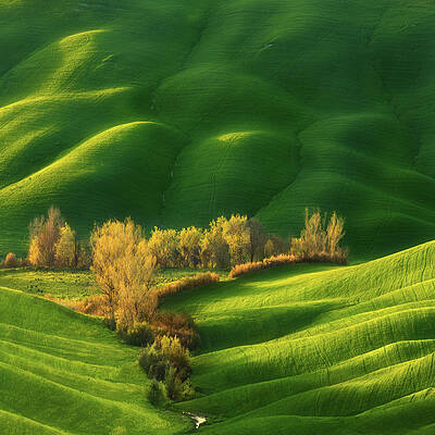 Wall Art - Photograph - Spring On Fields... #1 by Krzysztof Browko
