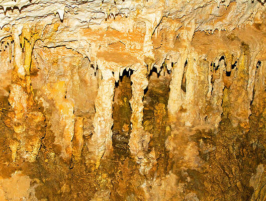Wall Art - Photograph - Stalactite Formations In Carlsbad #1 by Millard H. Sharp