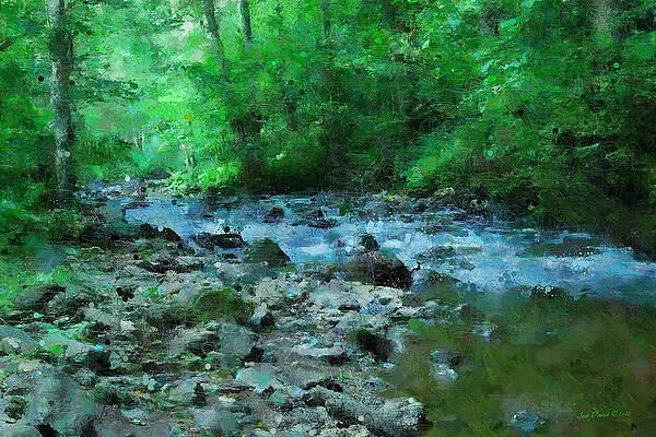 Stream in the Forest by Jon David