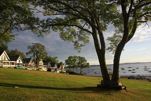 Wall Art - Photograph - Summertime In Bayside, A Community #1 by David McLain